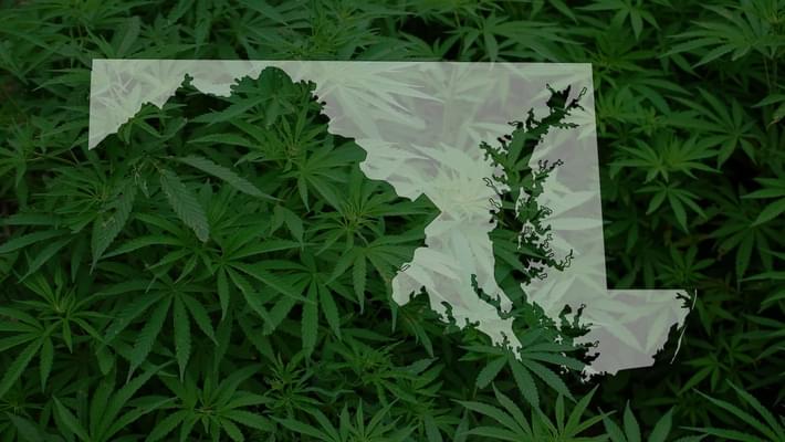 Maryland, after delays, begins the sale of medical marijuana