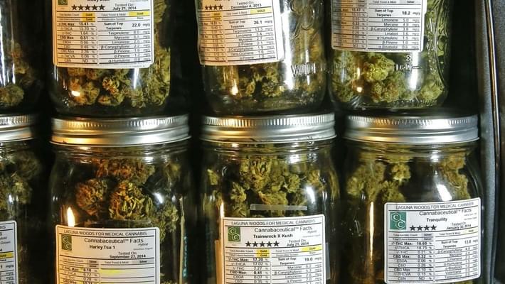 Maryland delays medical marijuana legalization