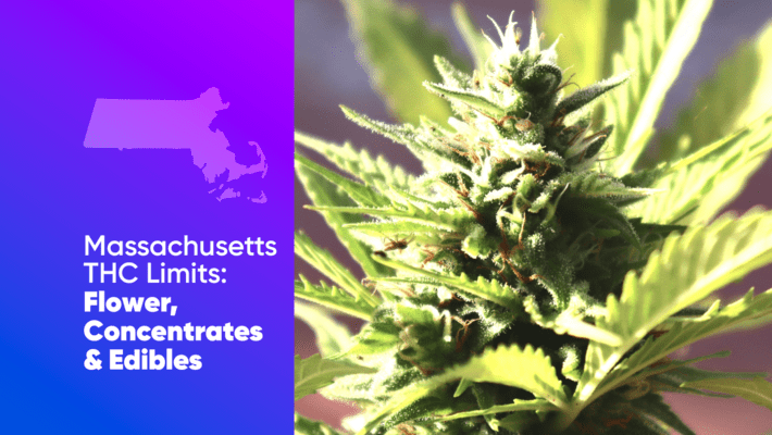 Massachusetts THC Limits: Flower, Concentrates, and Edibles