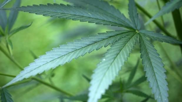 Medical Marijuana A Step Closer To Legalization In Pennsylvania