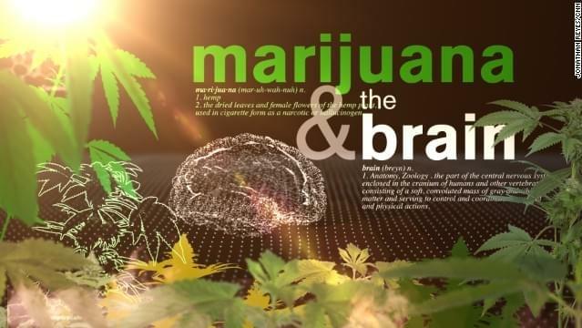Medical marijuana and 'the entourage effect'