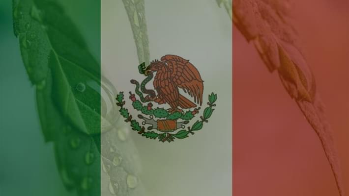 Medical marijuana approved by Mexican government