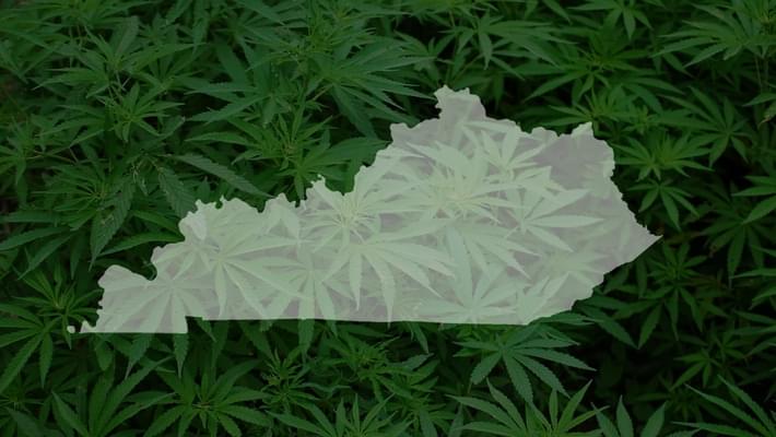 Medical marijuana bill could get its first vote Tuesday in Kentucky