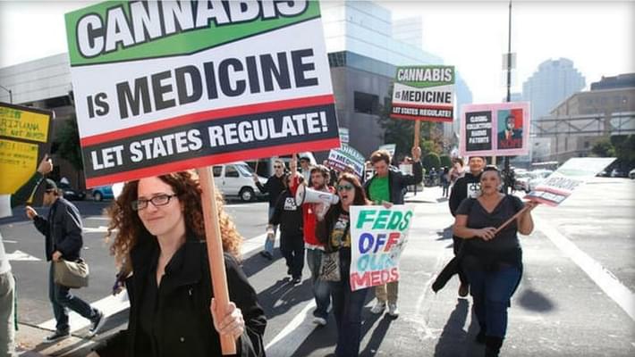 Medical marijuana bill gains momentum in Senate