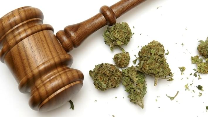 Medical marijuana bill to appear again in Georgia