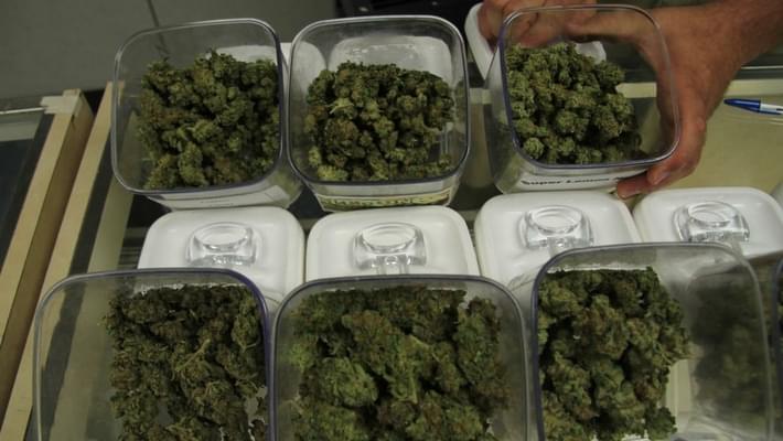 Medical marijuana bill will need to wait a year, sponsor says