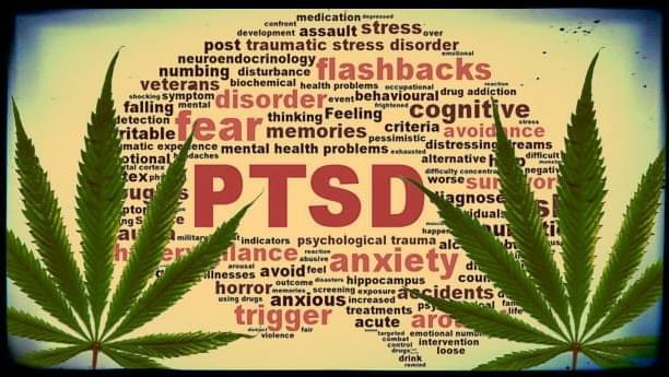 Medical marijuana cleared to treat PTSD in Washington