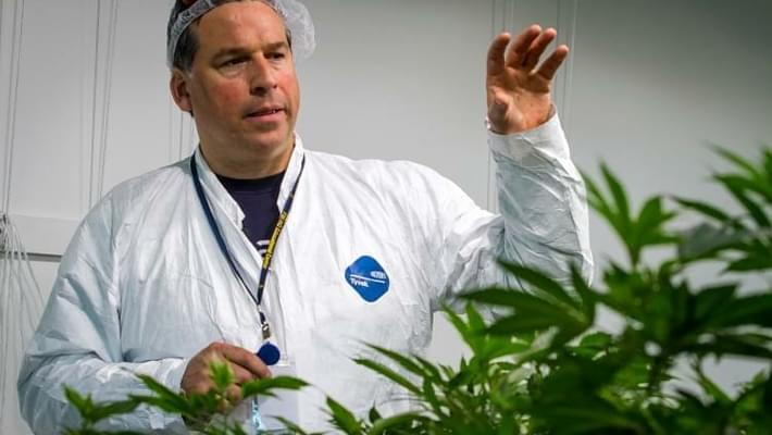 Medical marijuana grow operations in full swing as dispensaries start to open