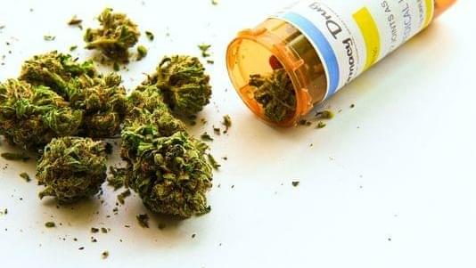 Medical marijuana growers can apply in New York