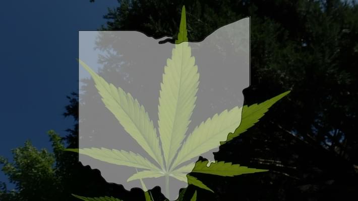 Medical marijuana in Ohio: Take a peek at first seeds planted