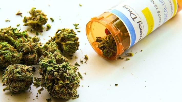 Medical Marijuana Study Shows Stunning Effect On Treating Pain, Nausea