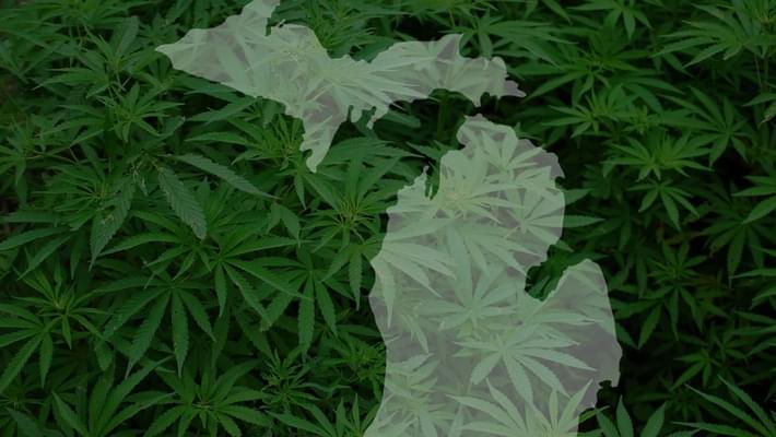 Michigan plans online medical marijuana registration