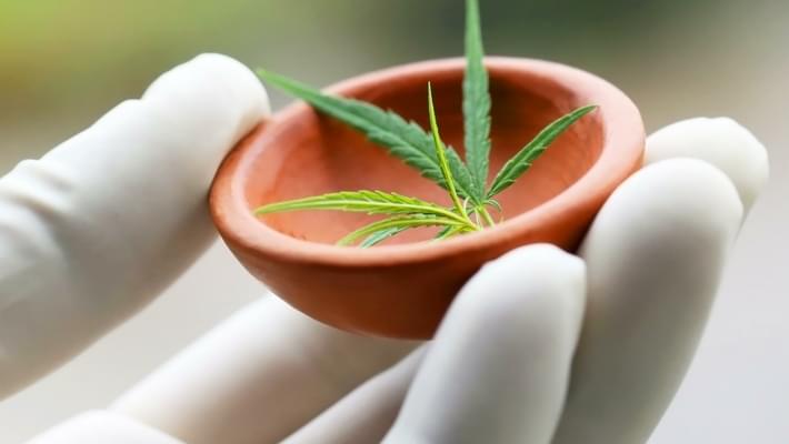 National Academy Of Sciences Pushes For Rescheduling Of Marijuana