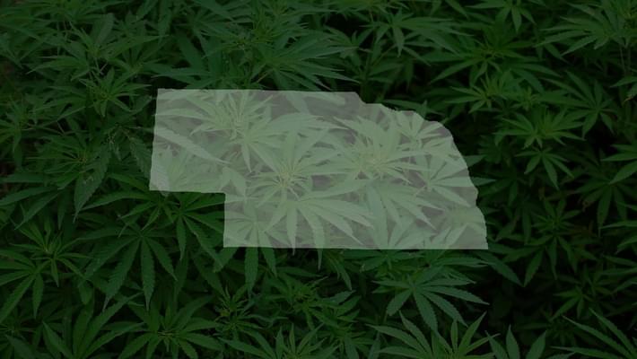 Nebraska senators launch medical marijuana ballot campaign