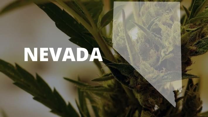Nevada recreational marijuana industry clears state hurdles