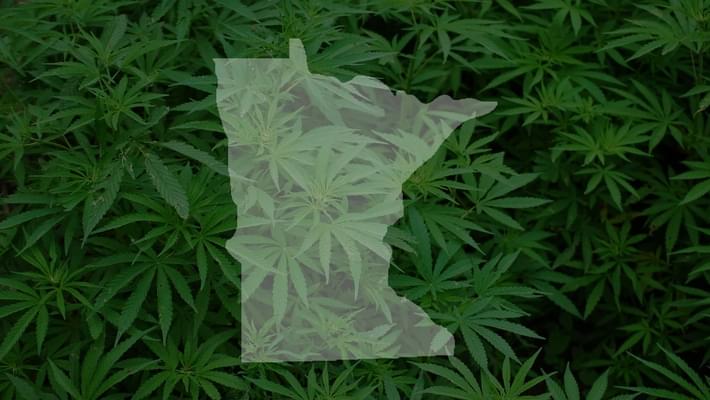 New group hopes to legalize recreational marijuana in Minnesota