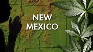 New Mexico Medical Marijuana Program Taking Off