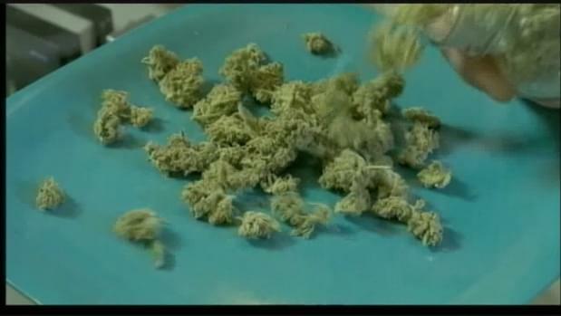 New rules for Medical Marijuana Program