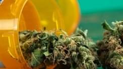 New study says medical marijuana wont boost usage in teens