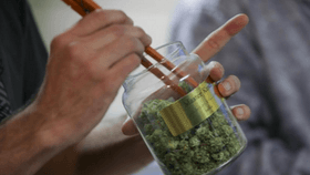 New York Senate Health Committee cleared medical marijuana measure