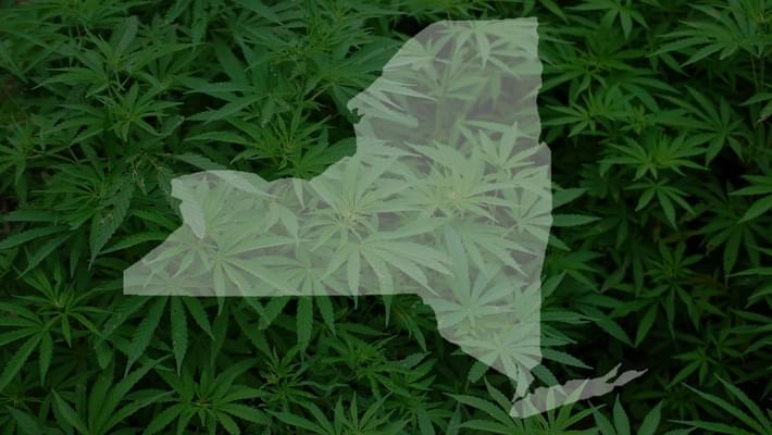 New York: the Marijuana Regulation and Taxation Act (MRTA)
