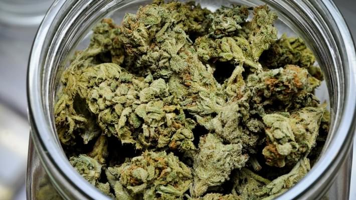New York to require extra training to prescribe medical marijuana