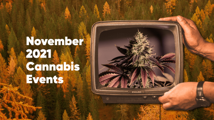 November 2021 Cannabis Events