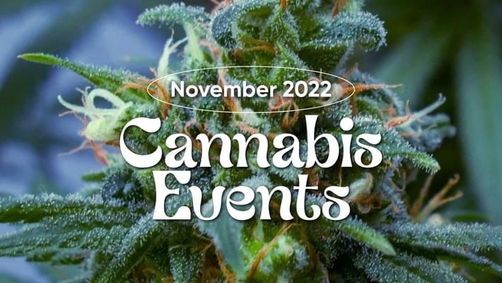November 2022 Cannabis Events
