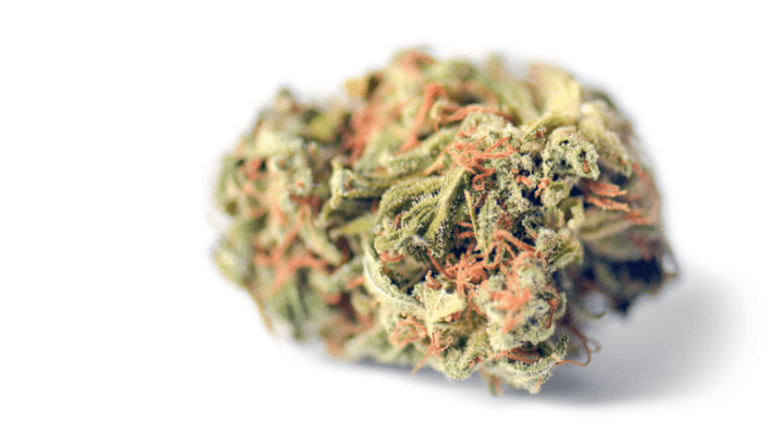 OG Kush: What Does "OG" Mean in the World of Cannabis