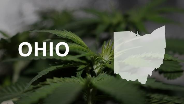 Ohio docs writing recs for patients to buy medical marijuana in Michigan before rules set