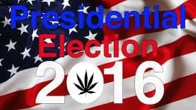 Opinion To legalize or not: Where do the presidential candidates stand on marijuana?