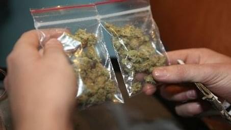 Opposing Chris Christie, New Jersey Senators Want To Legalize Marijuana