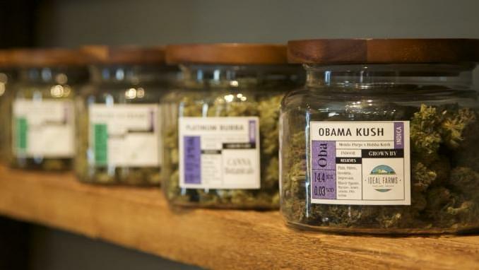 Oregon Marijuana Legalization 2015: Weed Smell Could Trigger $500 Fine In Pendleton