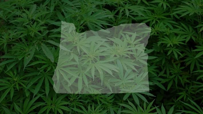 Oregon may consider exporting marijuana to other states