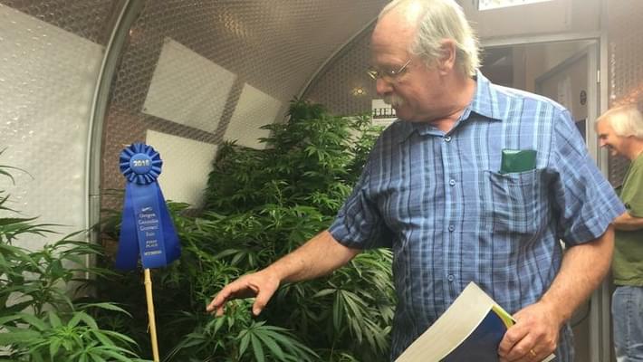 Oregon State Fair generates buzz with first legal pot display in U.S.