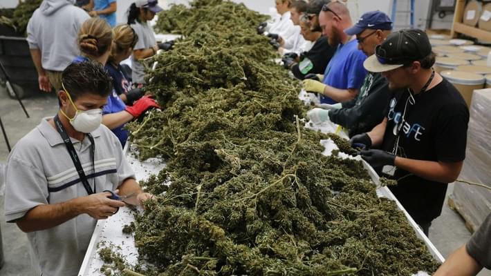 People in the US and Canada spent over $53 billion on marijuana in 2016