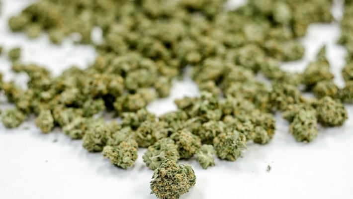 Pittsburgh City Council to consider marijuana decriminalization bill