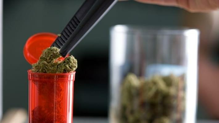 Poll: Fighting Marijuana Legalization Is Bad Politics