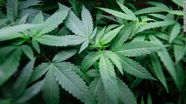 Pot tax, secession top Tuesday ballot measures 