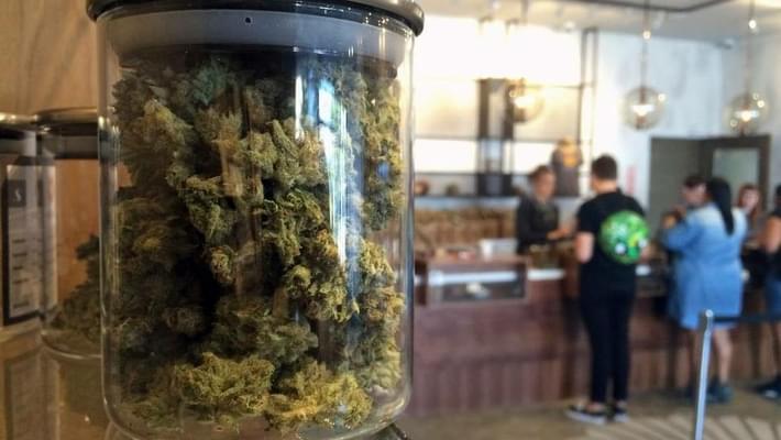 Potâ€™s legal in California. So why are people still getting busted in Yosemite?