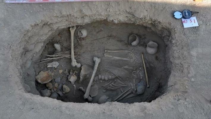 Prehistoric marijuana found in ancient burial site