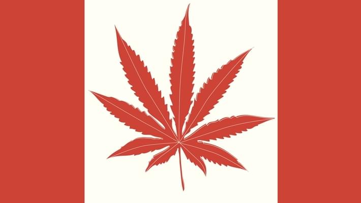Prime Minister Of Canada Justin Trudeau Mandates That Marijuana Be Legalized