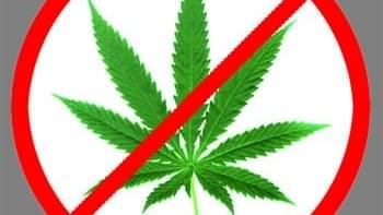 Proposed Alternatives to LA Medical Marijuana Dispensary Ban