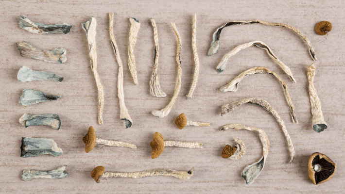 Psilocybin: The Next Plant-Based Medicine to be Legalized?