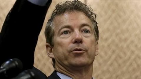 Rand Paul Ranks Highest In Marijuana Policy Presidential Voter Guide