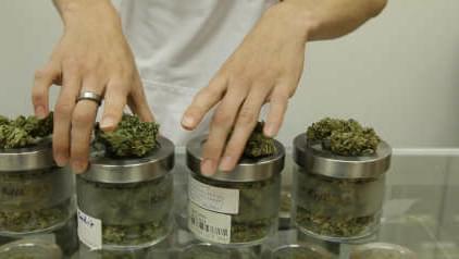 Senate Committee Passes Crucial Marijuana Reform