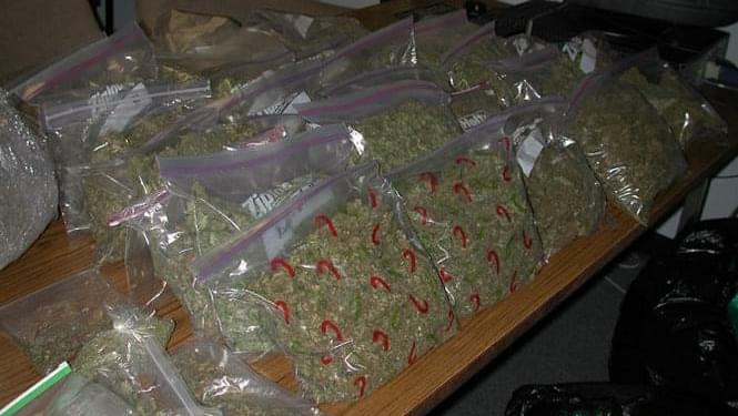 Seventy Pounds of Marijuana Found in Ohio Traffic Stop
