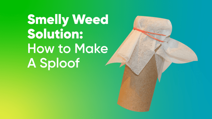 Smelly Weed Solution: How to Make A Sploof