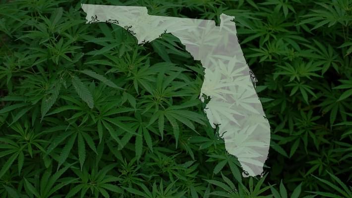 Smoking medical marijuana is now legal in Florida