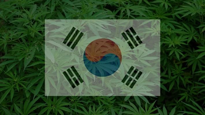 South Korea - First East Asian Country to Legalize Medical Marijuana